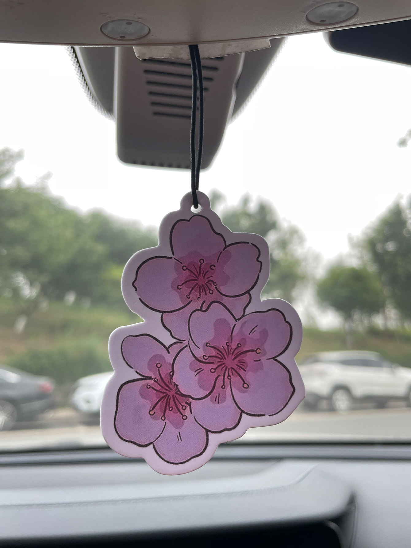Perfume Room Fragrance - Sakura/Frezya Taze Kokulu Beş Yıldızlı Nötr