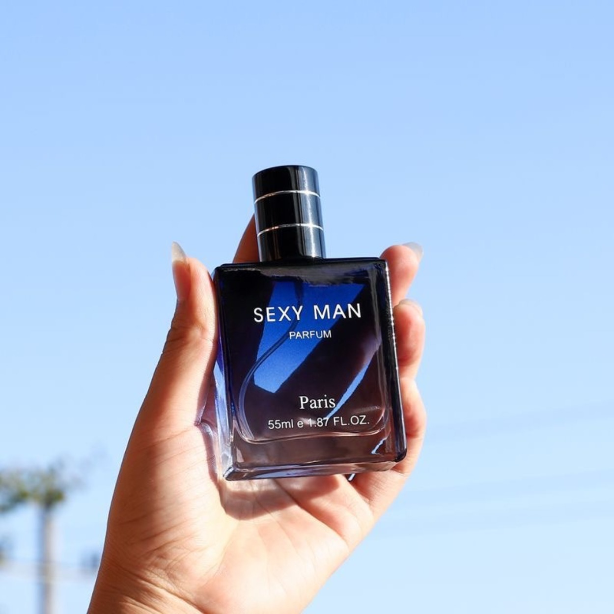 Erkekler İçin Odunsu ve Denizs - Perfume In Fragrance incelemesi ve fiyatı