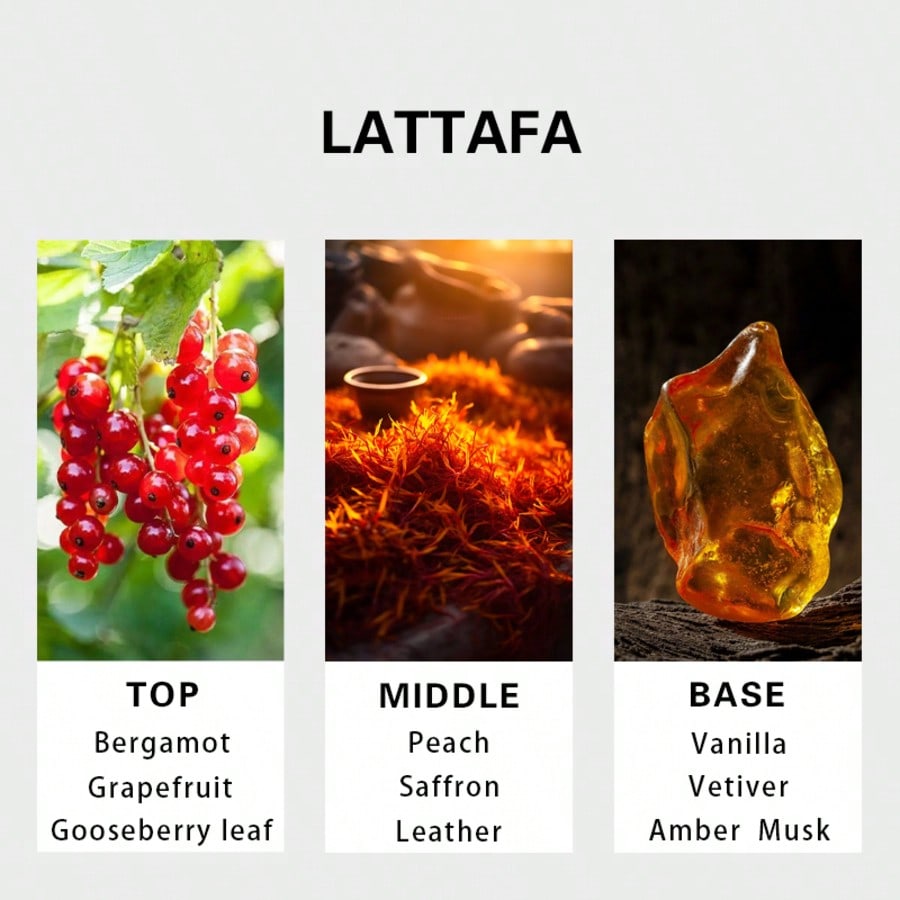 Hayaati Gold Elixir Erkek Parf - Perfume In Fragrance incelemesi ve fiyatı