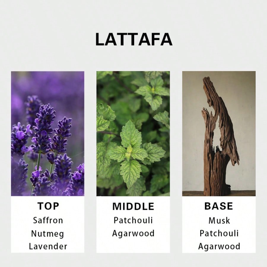 Lattafa Badee Al Oud For Glory - Perfume In Fragrance incelemesi ve fiyatı