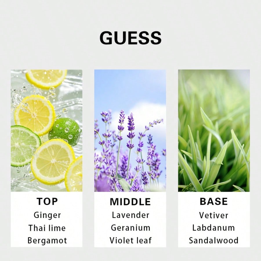Guess Forever erkek Eau De Toi - Perfume In Fragrance incelemesi ve fiyatı