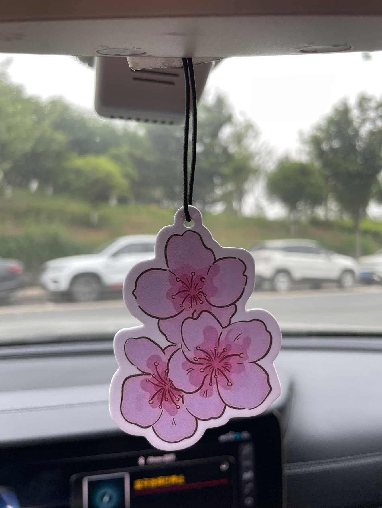 Sakura/Frezya Taze Kokulu Beş  - Perfume Room Fragrance incelemesi ve fiyatı